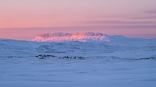 Snowy Plateau and Mountains at Sunset in Pink Light