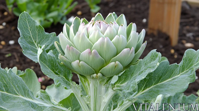 AI ART Close-Up of Garden Artichoke