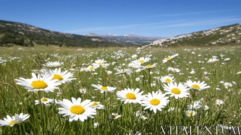 Scenic Daisy Meadow with Mountain Views AI Image