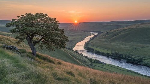 Sunset Landscape with Tree and River