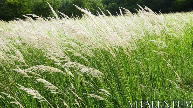 AI ART Green Meadow with Wind-Blown Tall Grass