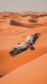 Majestic Bird Soaring Above Desert