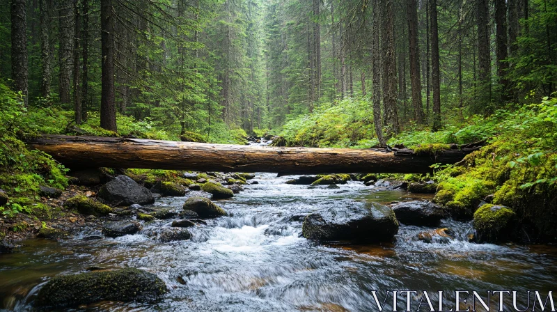 AI ART Tranquil Forest Stream Crossing Under a Log