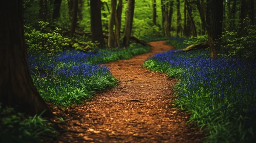 Idyllic Forest Trail Among Bluebells