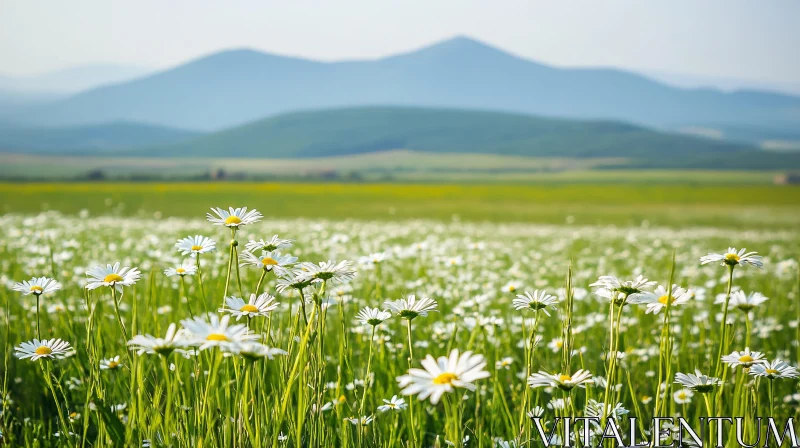 Peaceful Field of Daisies Against Mountain Panorama AI Image