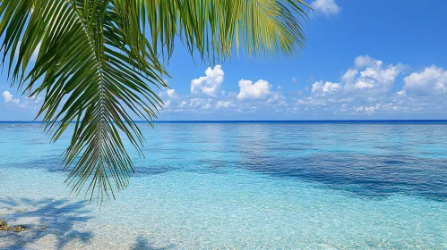 Idyllic Beach with Palm Leaf and Clear Blue Ocean