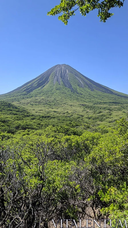 Towering Green Mountain with Lush Vegetation AI Image