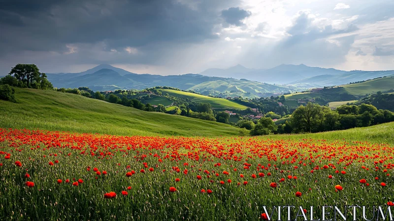 Poppy Field in the Countryside with Hills and Mountains AI Image