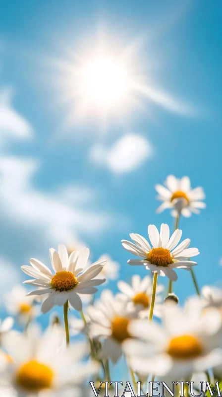 AI ART Sunlit Daisies with a Clear Blue Sky