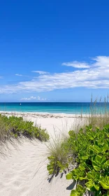 Idyllic Coastal Path to Tranquil Waters