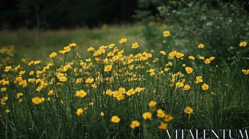 Yellow Blossoms in a Green Meadow AI Image