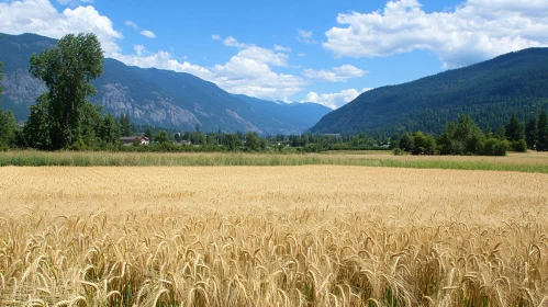 Rural Countryside with Wheat Field and Mountains