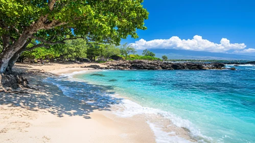 Serene Beach Scene with Clear Waters and Verdant Trees