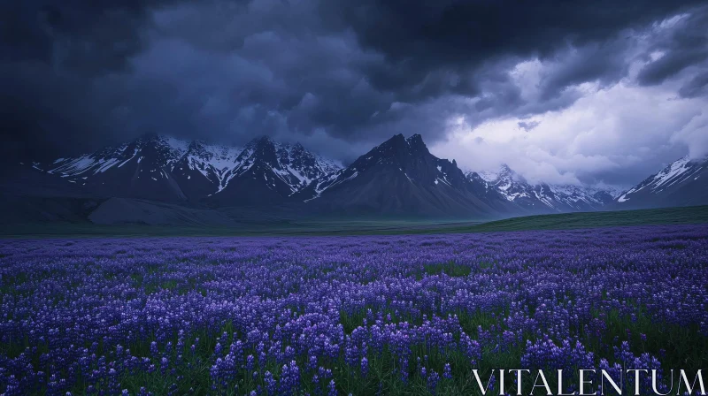 Majestic Mountains and Lavender Field under Storm Clouds AI Image