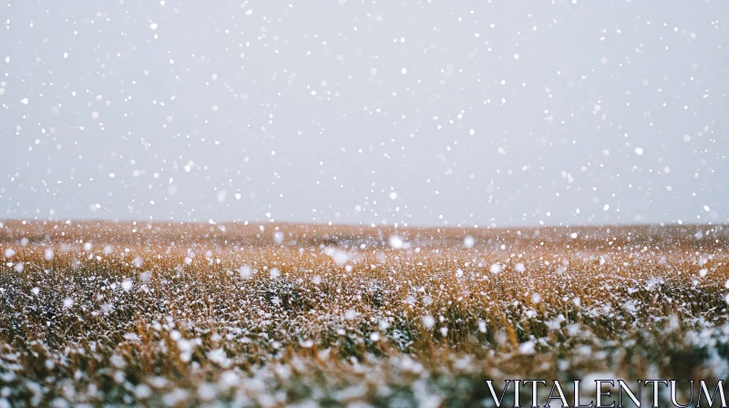 AI ART Snowy Landscape in Winter Field