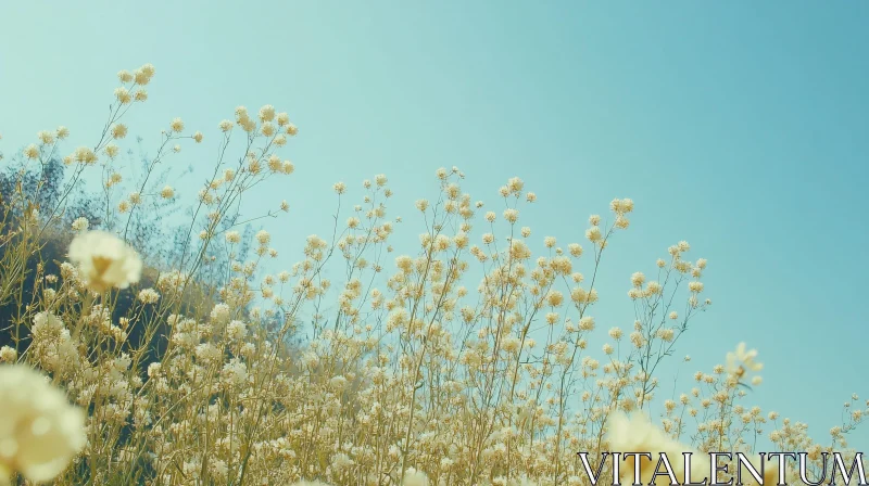 AI ART White Blossoms in a Peaceful Field