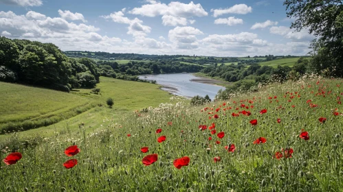 Countryside View with Poppy Field and River