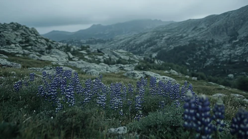 Scenic Mountain View with Wildflowers