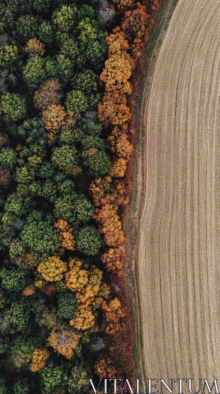 Forest and Field Aerial Photography AI Image