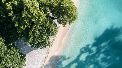 Pristine Beach Aerial Landscape