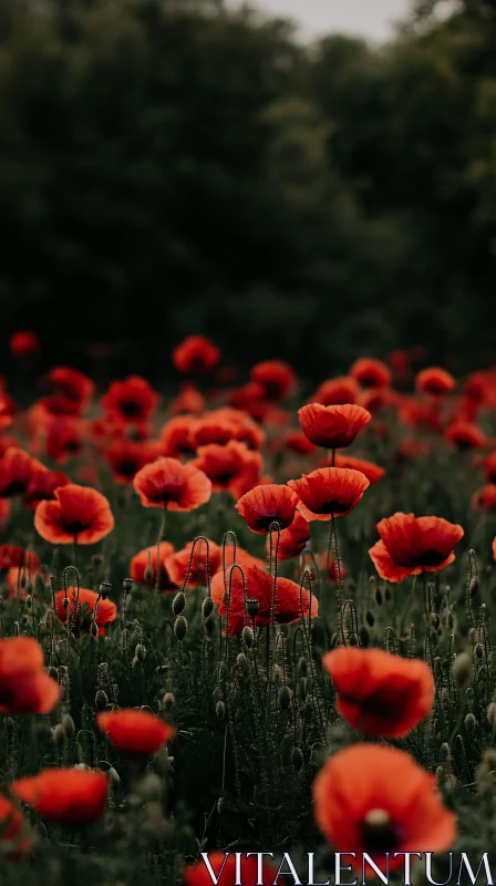 AI ART Stunning Red Poppies Field