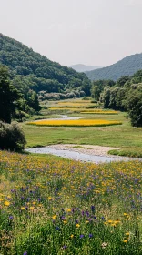 Tranquil Field with Summer Wildflowers and Hills