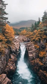 Serene Autumn Waterfall in Forested Mountains