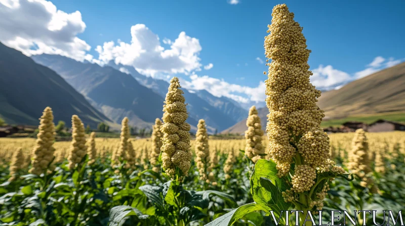 AI ART Quinoa Plants against Mountainous Horizon