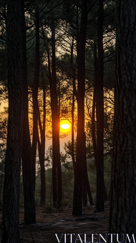 Serene Forest Sunset Landscape AI Image