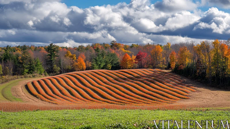 AI ART Autumn Field Landscape with Waves of Color