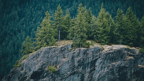 Forested Mountain Ridge with Rugged Rocks