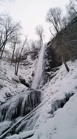 Frozen Waterfall in a Snowy Forest