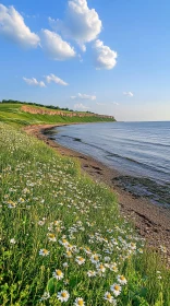 Coastal Landscape with Flowers and Cliffs