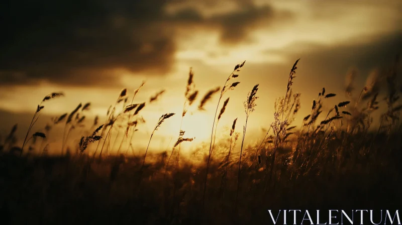 Golden Hour in a Tranquil Wheat Field AI Image