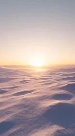 Tranquil Sunset in Desert