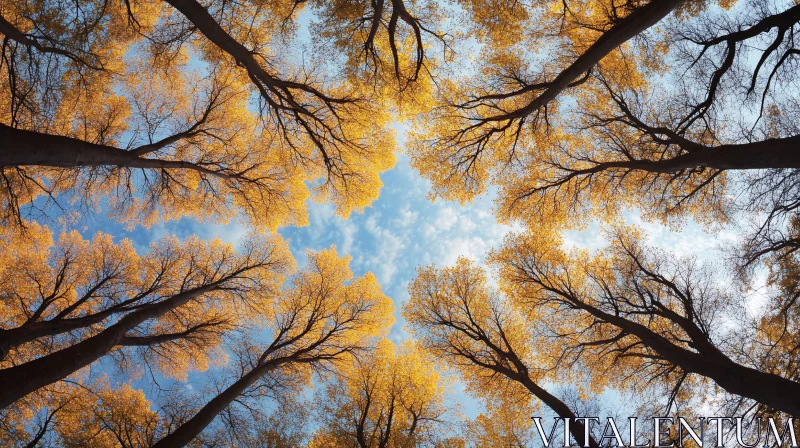 Majestic Tall Trees in Autumn AI Image