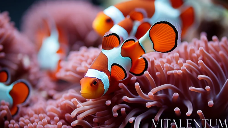 Captivating Clownfish Swimming Among Vibrant Anemone AI Image