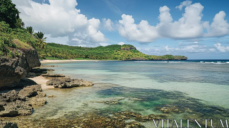 Scenic Tropical Beach View with Palm Trees AI Image