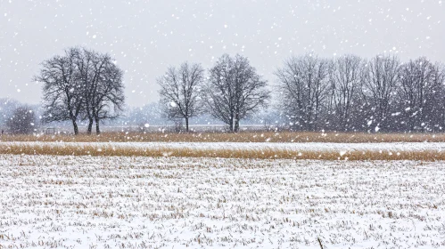 Serene Winter Scene with Snowflakes and Bare Trees