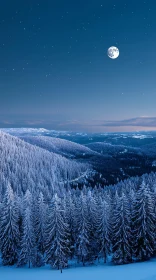 Winter Forest Landscape with Moon