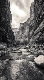 Black and White Canyon River Scene