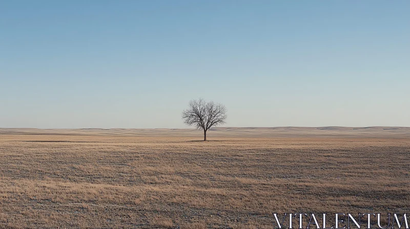 Lone Tree in Desert Field with Blue Sky AI Image