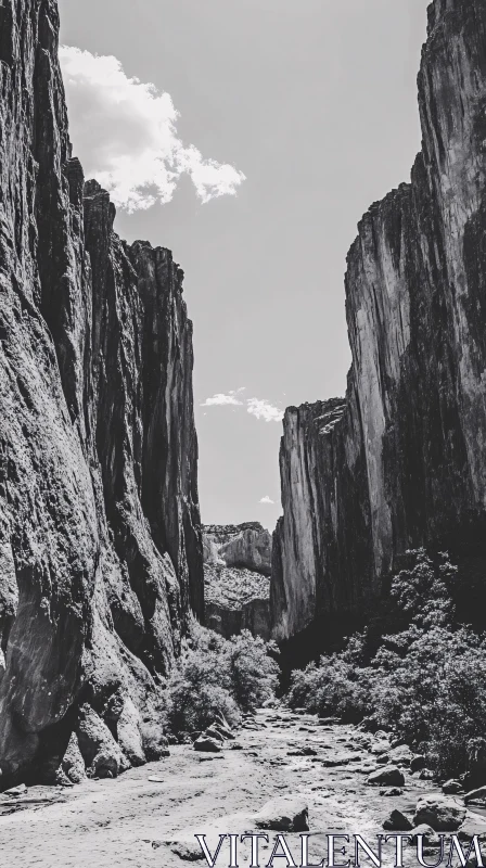 AI ART Black and White Canyon Landscape