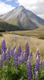 Mountain Landscape with Vibrant Lupines