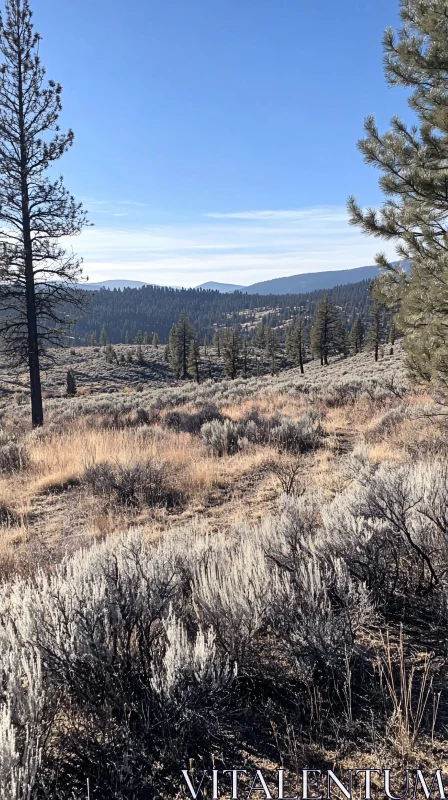 AI ART Rugged Terrain with Dry Vegetation and Blue Sky