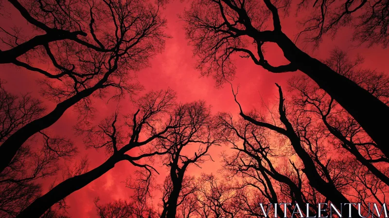 Silhouetted Branches Under Red Sky AI Image