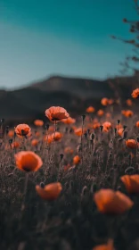 Mesmerizing Orange Poppies Landscape