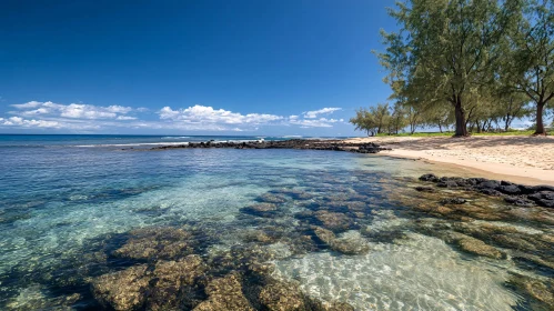 Peaceful Oceanfront with Blue Sky and Trees