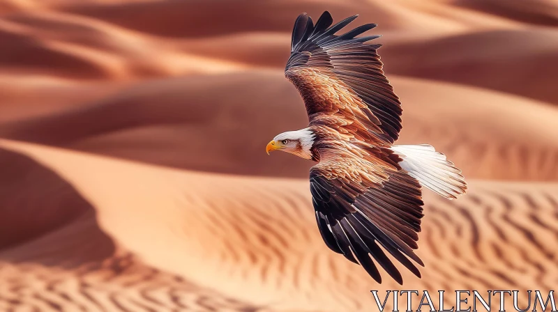 AI ART Eagle in Flight Over Beautiful Desert