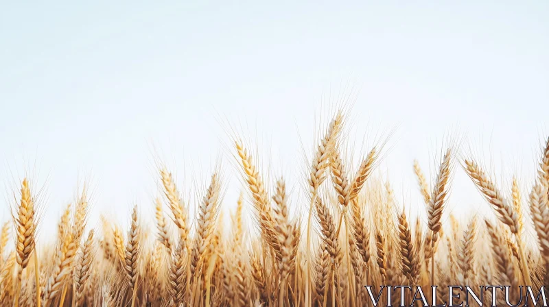 AI ART Tranquil Wheat Field Horizon